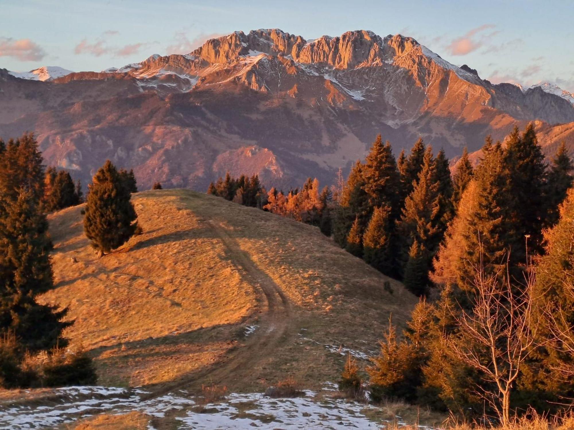Apartament 181 - Casa Arcobaleno Tra Le Alpi, Piste Da Sci A 15 Minuti Castione della Presolana Zewnętrze zdjęcie